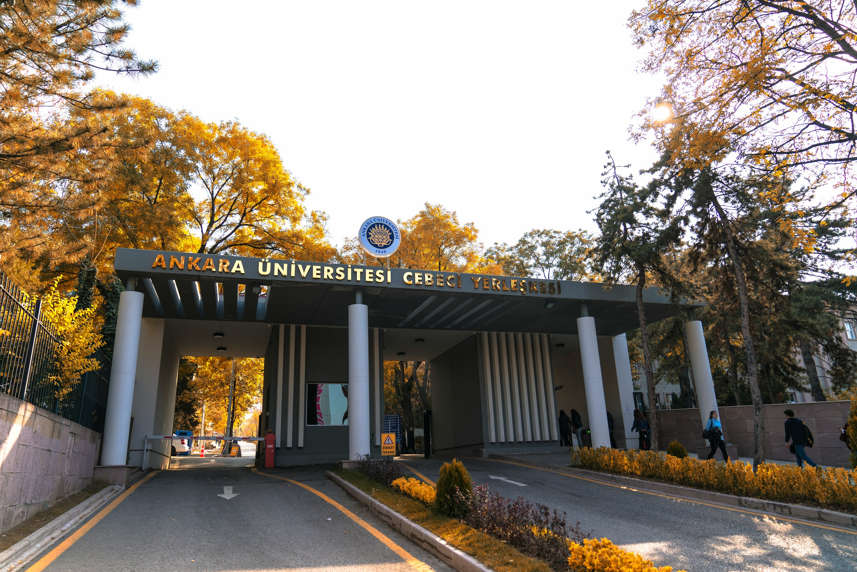 University Admissions Support